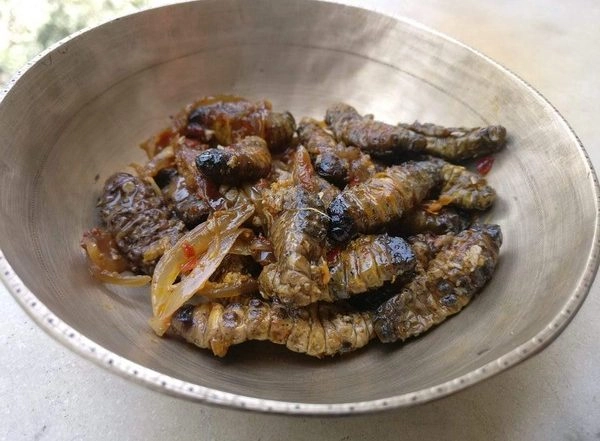 Lifestyle News | Of Ants Eggs, Silk Worms N More