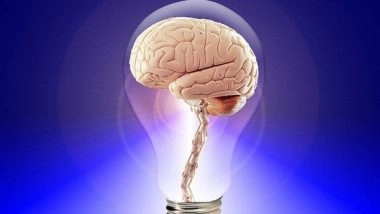 Science News | Researchers Find First Human Evidence of How Memories Form