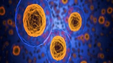 Science News | Study Examines How Cells Eat