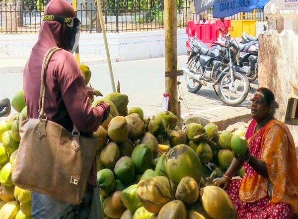 India News | Cabinet Approves Copra MSP Hike