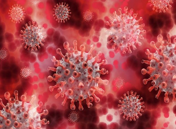 NeoCov: This COVID-19 Variant Has High Mortality Rate, Says Report; Here's All You Need to Know