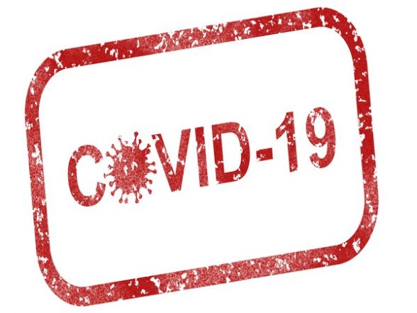 Science News | Study Finds SARS-CoV-2 Goes Underground to Spread from Cell to Cell - Vimarsana News