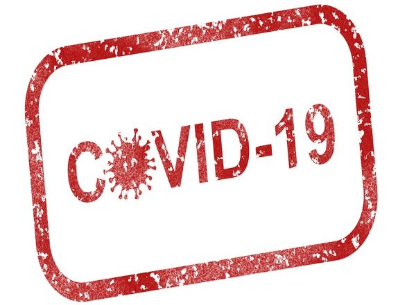 Science News | Study Finds SARS-CoV-2 Goes Underground to Spread from Cell to Cell