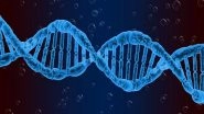 Science News | Researchers Identify Key RNA 'gatekeeper' in Gene Expression, Suggesting Possible New Drug Targets