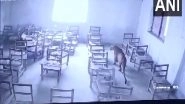 Uttar Pradesh: Leopard Enters Inter College, Attacks Student in Aligarh (Watch Video)