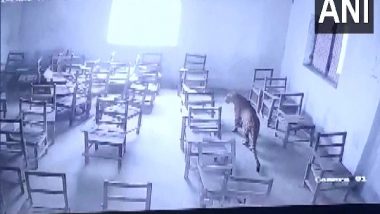 Uttar Pradesh: Leopard Enters Inter College, Attacks Student in Aligarh (Watch Video)
