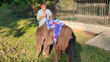 India News | Kaziranga National Park Provides Blankets, Heaters for Animals to Beat the Chill