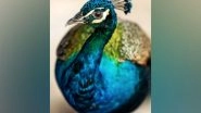 Science News | Researchers Find Birds' Dazzling Iridescence Linked to Nanoscale Tweak of Feather Structure