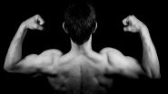 Science News | Identification of Proteins Required for Muscle Regeneration: Study