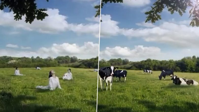 Seoul Milk Advertisement Controversy: South Korean Dairy Giant Apologies After Ad Video Depicting women As Cows Faces Massive Backlash