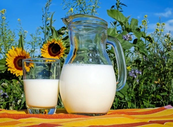 Health News | Study Finds Whole Fat Dairy as Good as Low Fat for Kids
