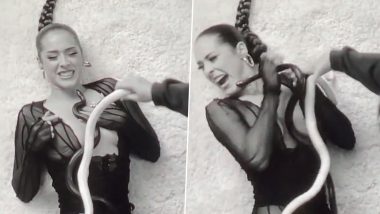 Snake Bites Maeta on FACE! Shocking Scary Video Shows Reptile Attacking Pop Singer During Music Video Shoot, Clip Goes Viral
