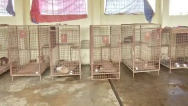 India News | NGO in Hyderabad to Start Crematorium for Pets Soon