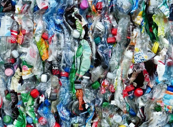 Tamil Nadu’s Ranipet Creates World Record, Collects Over 186 Metric Tonnes Plastic Waste in 3 Hours
