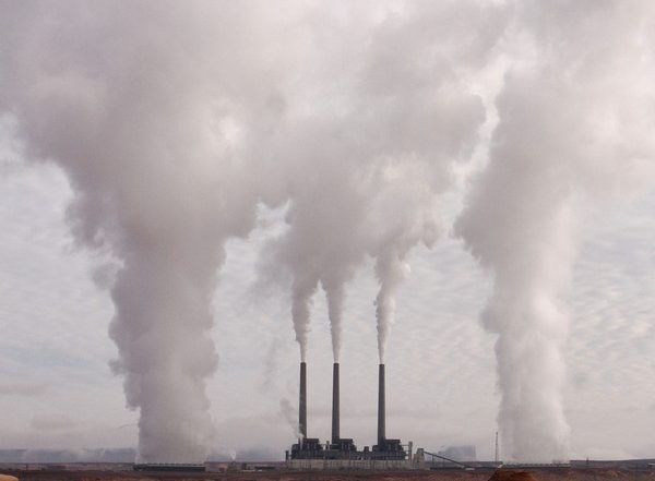 Science News | Study Finds Trees Play Major Role in Cleaner Air in Cities