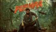 Pushpa The Rule: Fans Are Concerned About Update on Allu Arjun and Sukumar&rsquo;s Pushpa Sequel