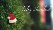 Feliz Navidad Song With Lyrics for Christmas 2021: Celebrate Xmas Day Listening to Spanish Christmas Carol Popular Across the World!