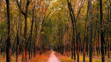 Health News | Living Near Green Spaces Might Benefit Against Symptoms of PMS