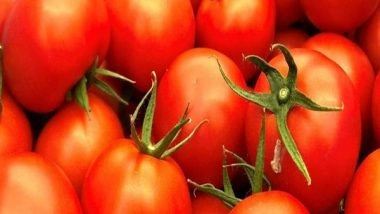 India News | Prices of Tomatoes Down by 13 Pc in Last One Week, 24 Pc in Past One Month