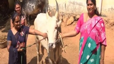 India News | Madurai Transgender Trains Bulls for Jallikattu