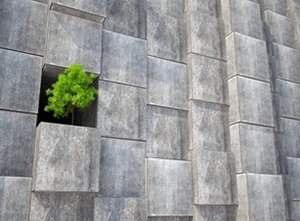 Business News | Aligning Business Goals and Sustainability - The Way Forward