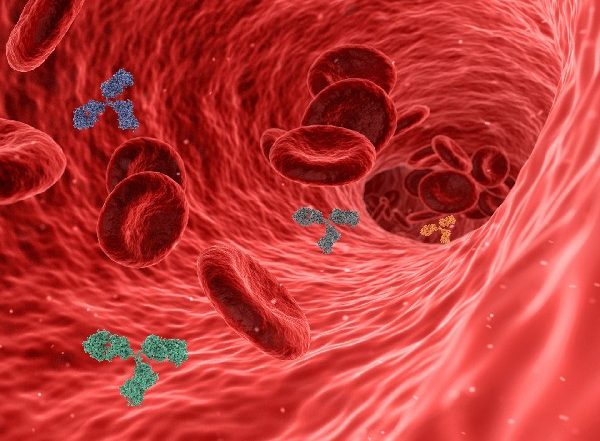 Health News | Omega-3 Fatty Acids May Reduce Atherosclerosis: Study