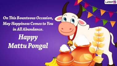 Mattu Pongal 2022 Images & Cow Pongal Kolam and Rangoli Designs for Free Download Online: Send WhatsApp Messages, Greetings, Wishes, Facebook Pics To Loved Ones