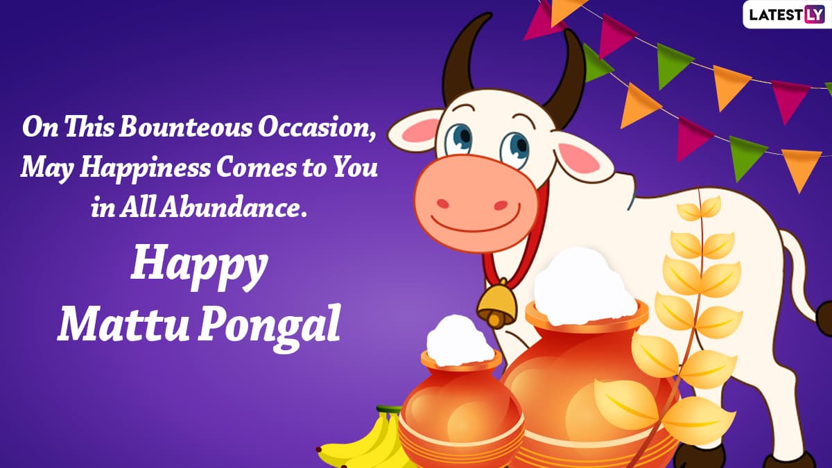 Mattu Pongal 2022 Images & Cow Pongal Kolam and Rangoli Designs ...