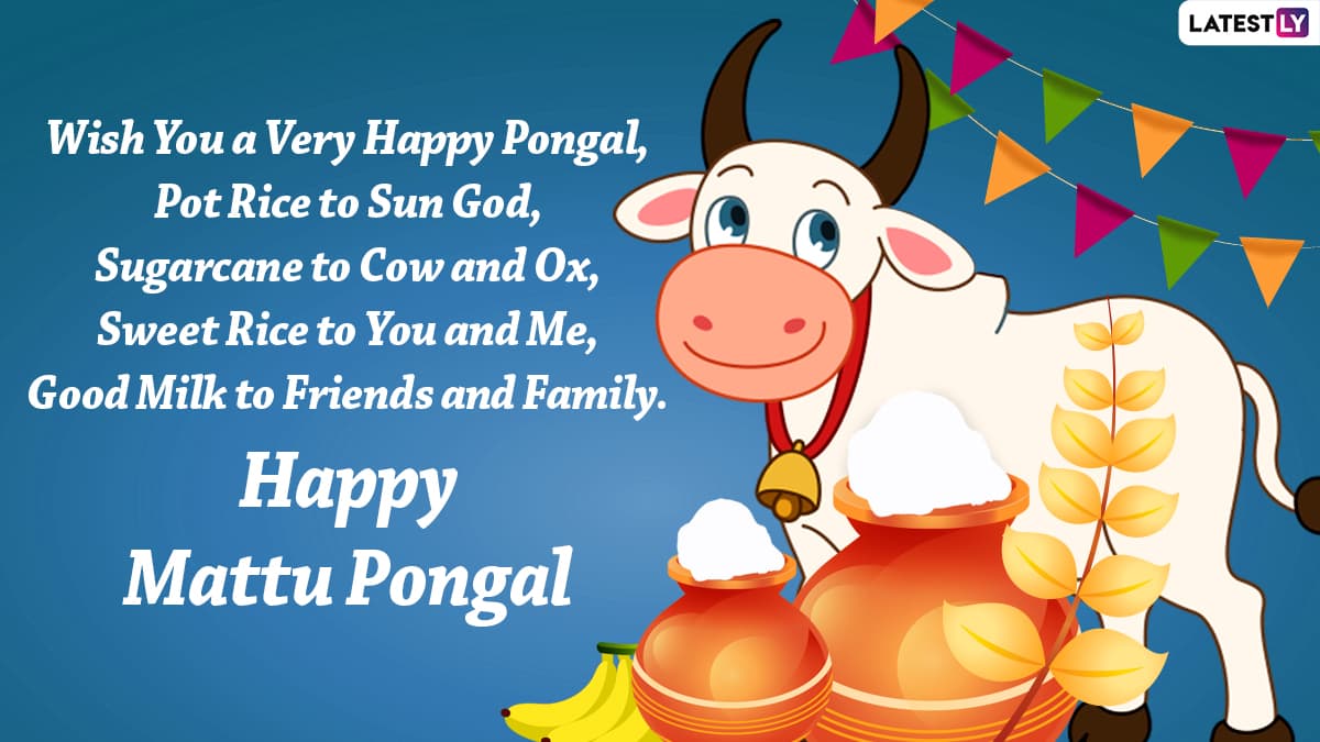 Mattu Pongal 2022 Images & Cow Pongal Kolam and Rangoli Designs ...