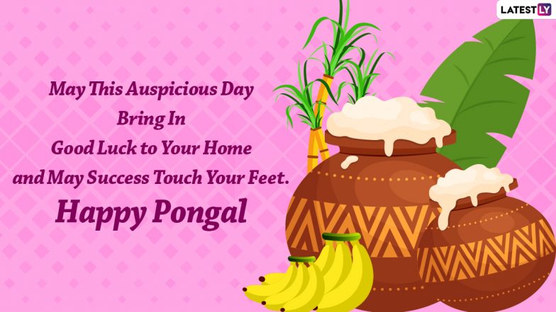 Thai Pongal 2022 Wishes: Iniya Pongal Valthukkal Images, WhatsApp ...