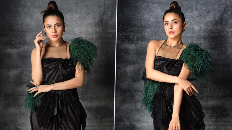 Shehnaaz Gill Exudes Elegance in Latest Dabboo Ratnani’s Photoshoot
