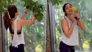 Shilpa Shetty Kundra Can’t Contain Her Happiness While Plucking Carambola AKA Star Fruit From Her Garden (Watch Video)