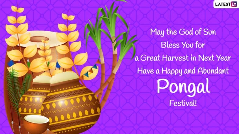 Mattu Pongal 2022 Wishes: Share Quotes, WhatsApp SMS, HD Images For WhatApp  And Facebook To Celebrate The Jallikattu Festival