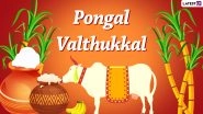 Mattu Pongal 2022 Quotes & HD Wallpapers: Festive Greetings, Wishes, WhatsApp SMS And Messages To&nbsp;Celebrate Tamil Nadu's Bull Festival