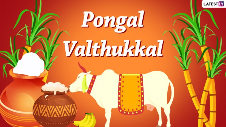 Mattu Pongal 2022 Quotes & HD Wallpapers: Festive Greetings, Wishes, WhatsApp SMS And Messages To Celebrate Tamil Nadu's Bull Festival