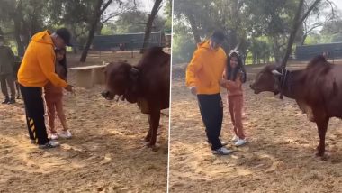 Akshay Kumar Spends Time Amid Nature at Ranthambore National Park, Feeds Cows With Daughter (Watch Video)
