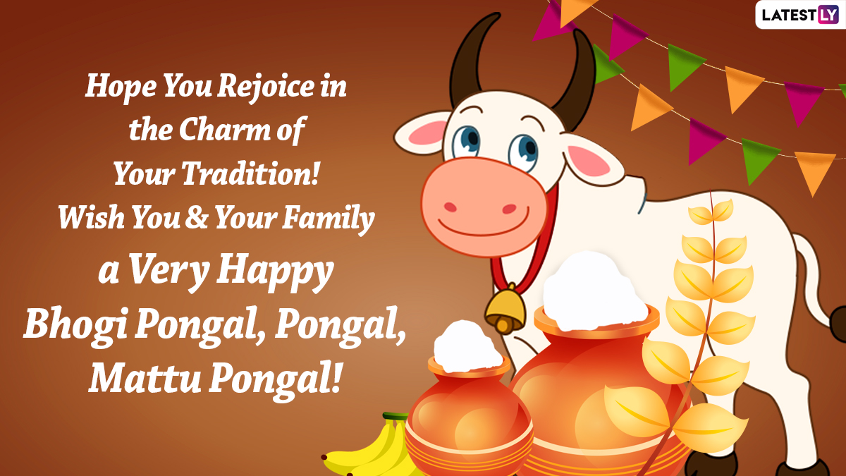 Mattu Pongal 2022 Images & Cow Pongal Kolam and Rangoli Designs ...