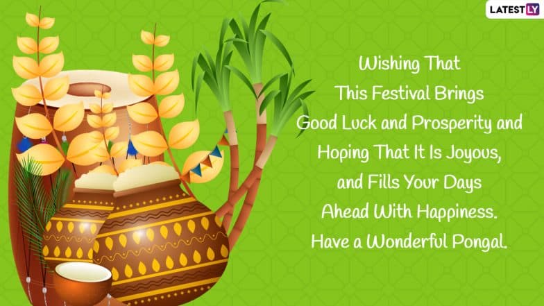 Mattu Pongal 2022 Wishes: Share Quotes, WhatsApp SMS, HD Images For WhatApp  And Facebook To Celebrate The Jallikattu Festival