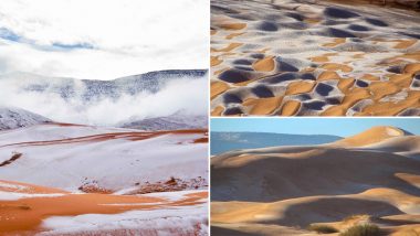 Snow Falls Across Sahara Desert in Rare Weather Occurrence; Pictures go Viral on Social Media