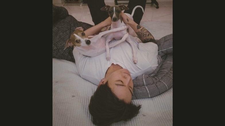 BTS’ Jungkook Trends After Sharing an Adorable Picture of Him Playing With His Two Pet Pups!
