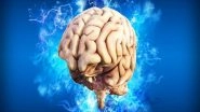 Science News | Similar to Social Media Feeds, Brains Operate with Lag to Update: Research