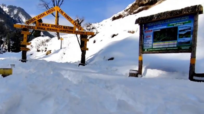 New Trekking Routes Maintained By Anantnag Forest Division Open For Trekkers And Nature Lovers (Watch Video)