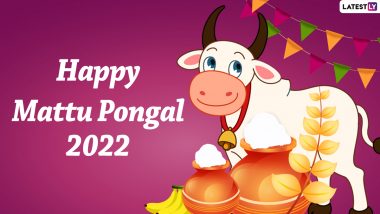 Mattu Pongal 2022 Wishes: Share Quotes, WhatsApp SMS, HD Images For WhatApp And Facebook To Celebrate The Jallikattu Festival 