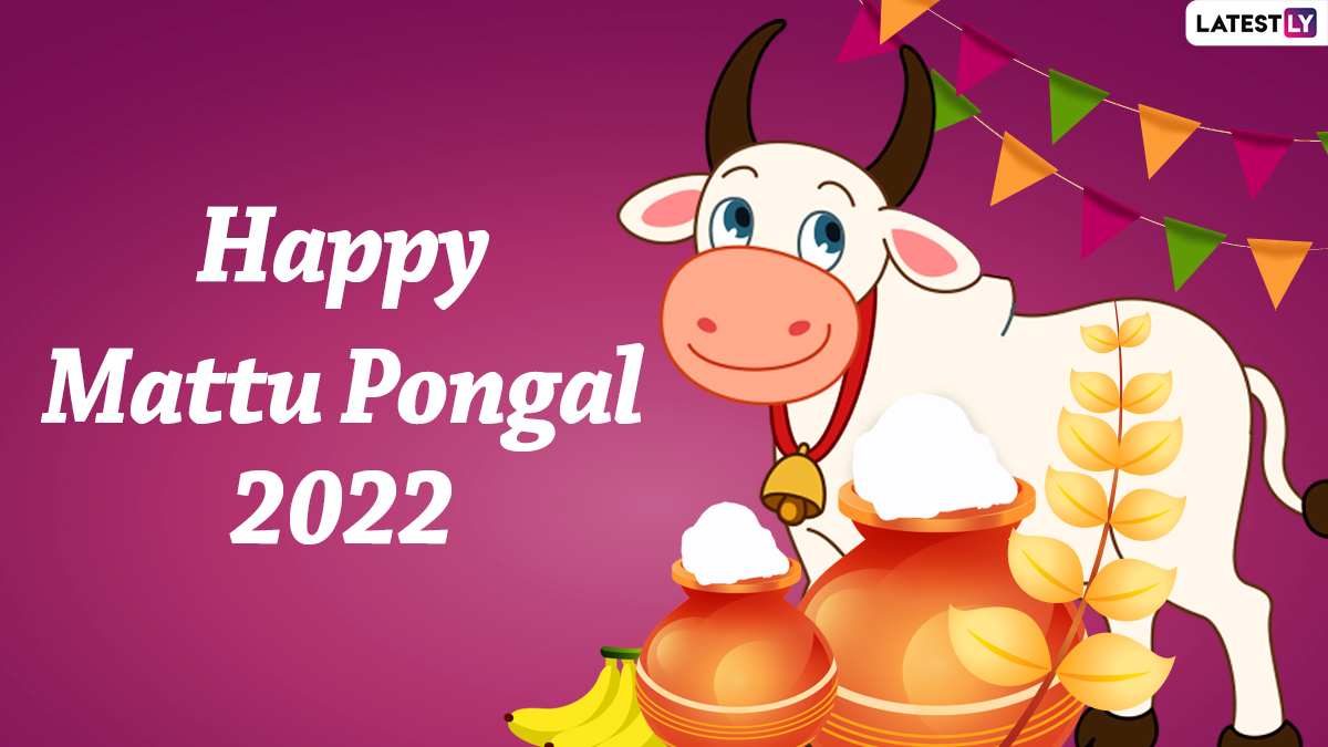 Mattu Pongal 2022 Wishes: Share Quotes, WhatsApp SMS, HD Images ...