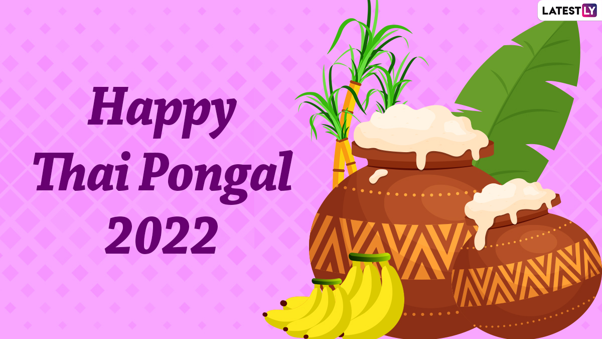 Thai Pongal 2022 Wishes: Iniya Pongal Valthukkal Images, WhatsApp ...
