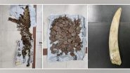 India News | Odisha STF Seizes Leopard Skin, Elephant Tusk, Pangolin Scales; One Arrested