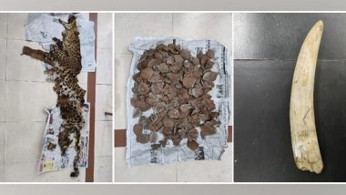 India News | Odisha STF Seizes Leopard Skin, Elephant Tusk, Pangolin Scales; One Arrested