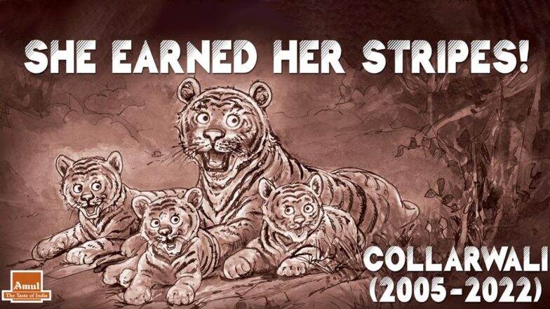 Amul Comes Up With Topical to Pay Tribute to Tigress Collarwali