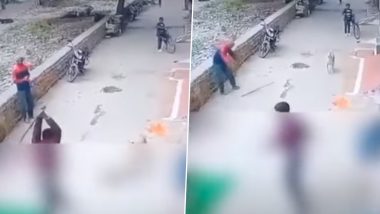 Shocking Animal Brutality in Gwalior: Man Beats Stray Dog to Death For Visiting His Female Pet Dog Regularly; Horrific Video Goes Viral