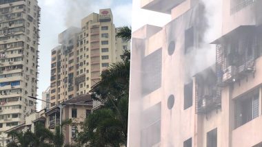 Mumbai Fire: Blaze Erupts in 20-Storey Building in Tardeo, 7 Dead, Several Injured; Here’s What We Know So Far